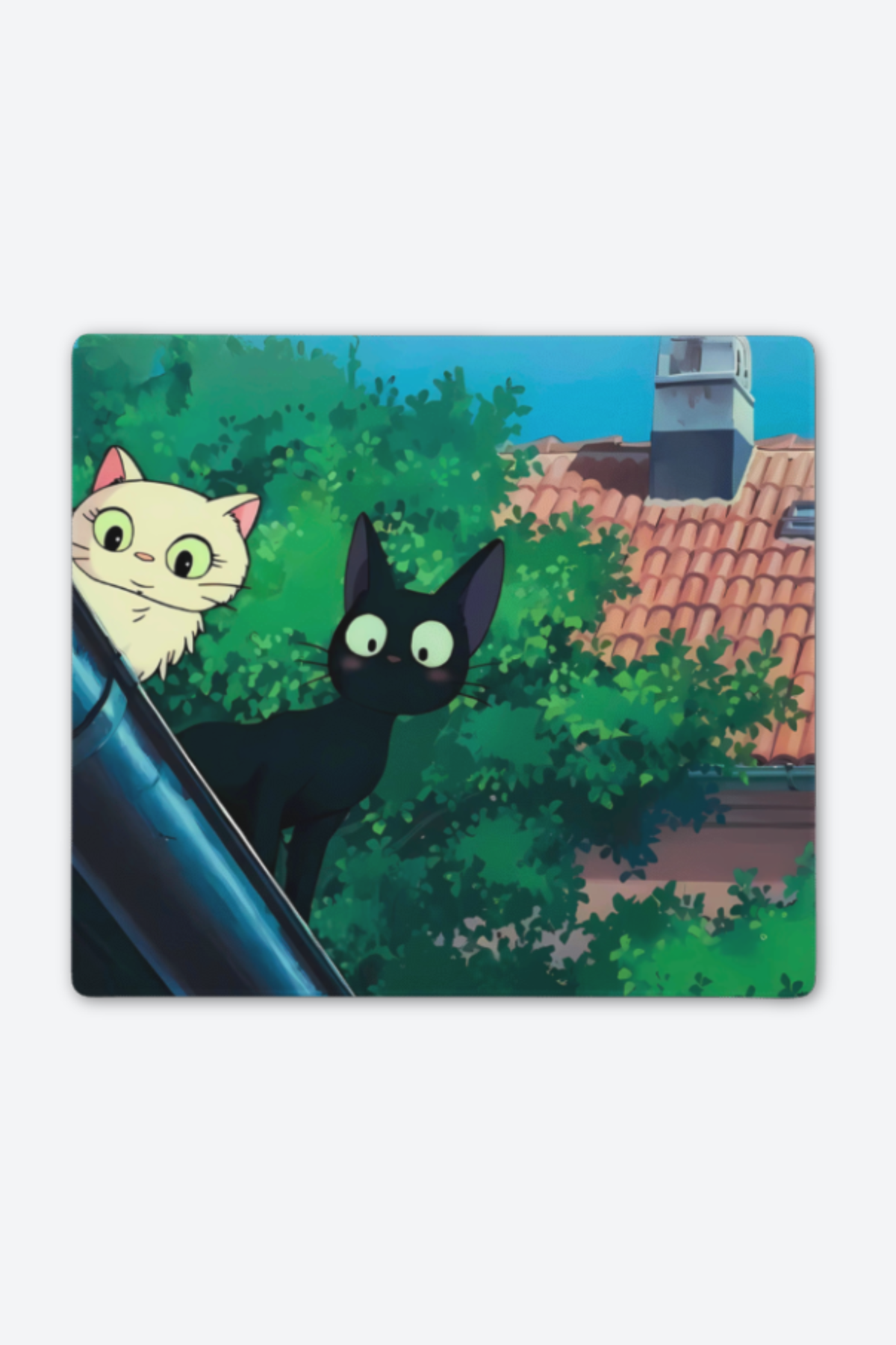 Kittens